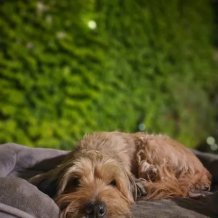 Casa vacanze Casa Patio Del Vino *