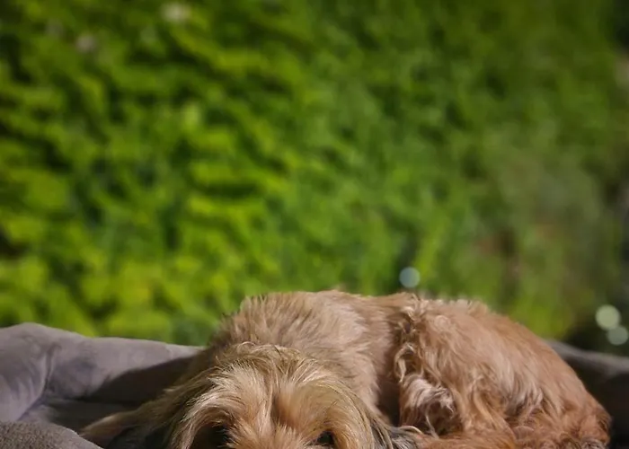 بيت للعطل Casa Patio Del Vino *